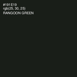 #191E19 - Rangoon Green Color Image